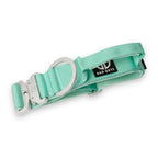 Dog Collar product image 14