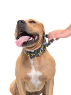 Dog Collar product image 21