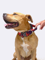 Dog Collar product image 24