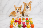 Dog Treats product image 1