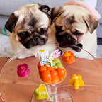 Dog Treats product image 5