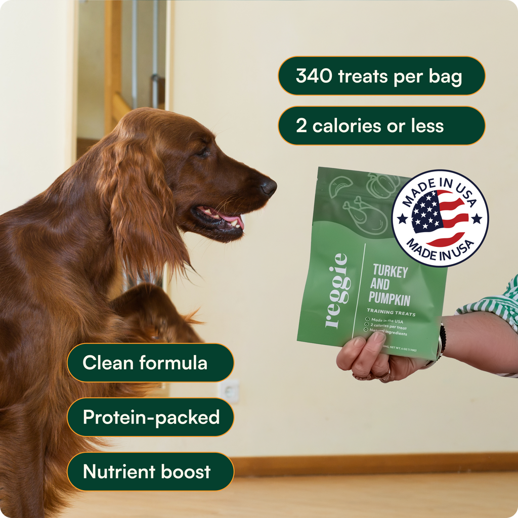 Dog Snuffle Mat Bundle product image 7