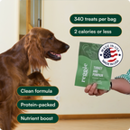 Dog Snuffle Mat Bundle product image 7
