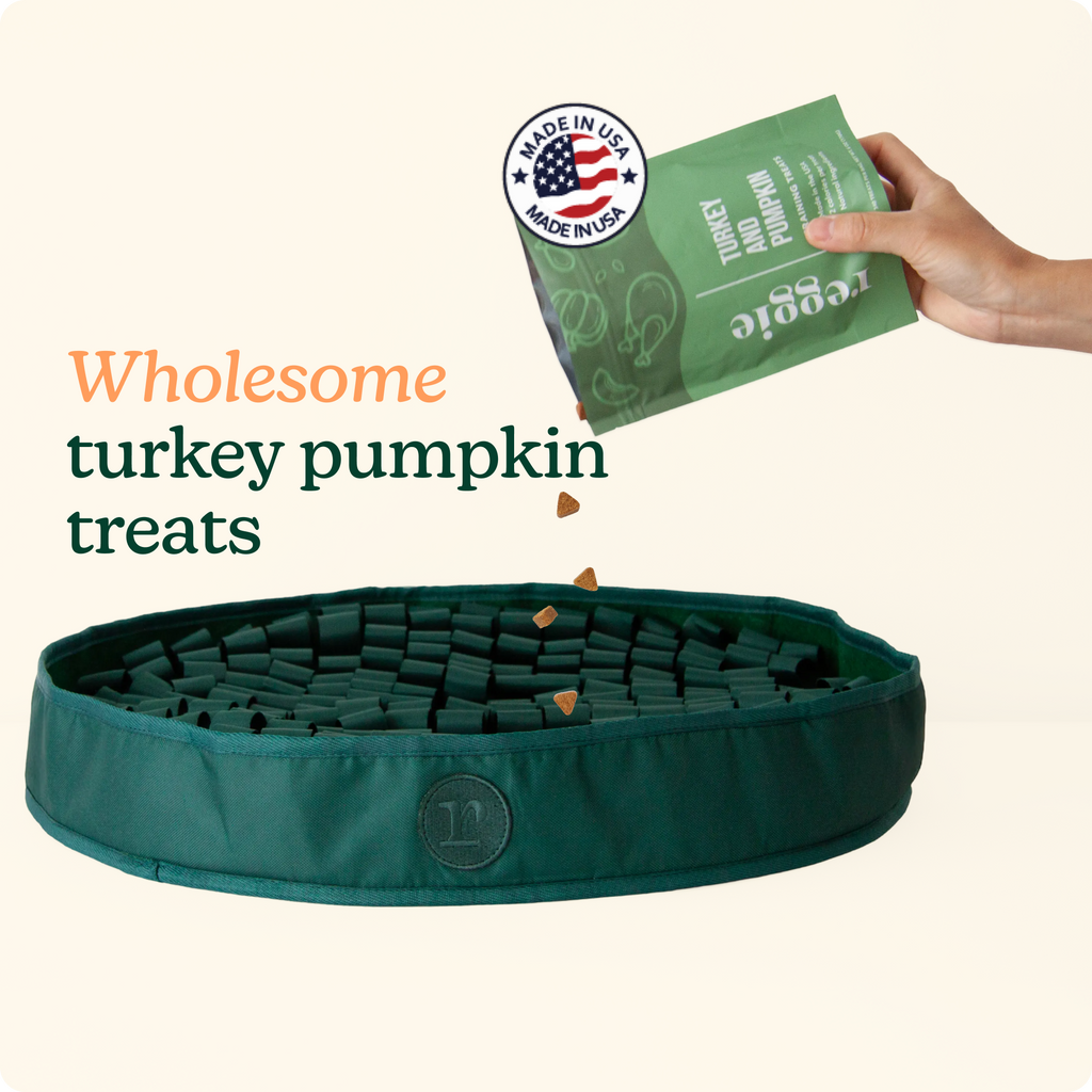 Dog Snuffle Mat Bundle product image 10