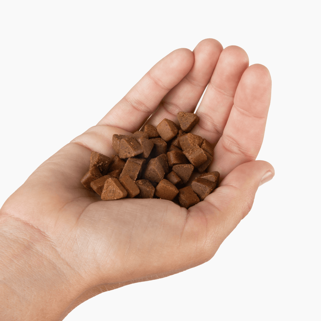 Dog Snuffle Mat Bundle product image 14