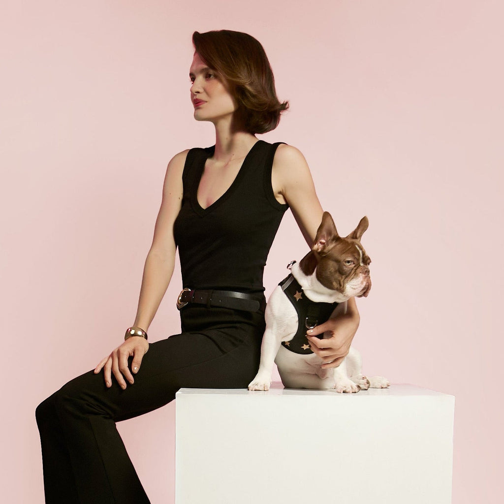 Dog Harness product image 2