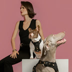 Dog Harness product image 6