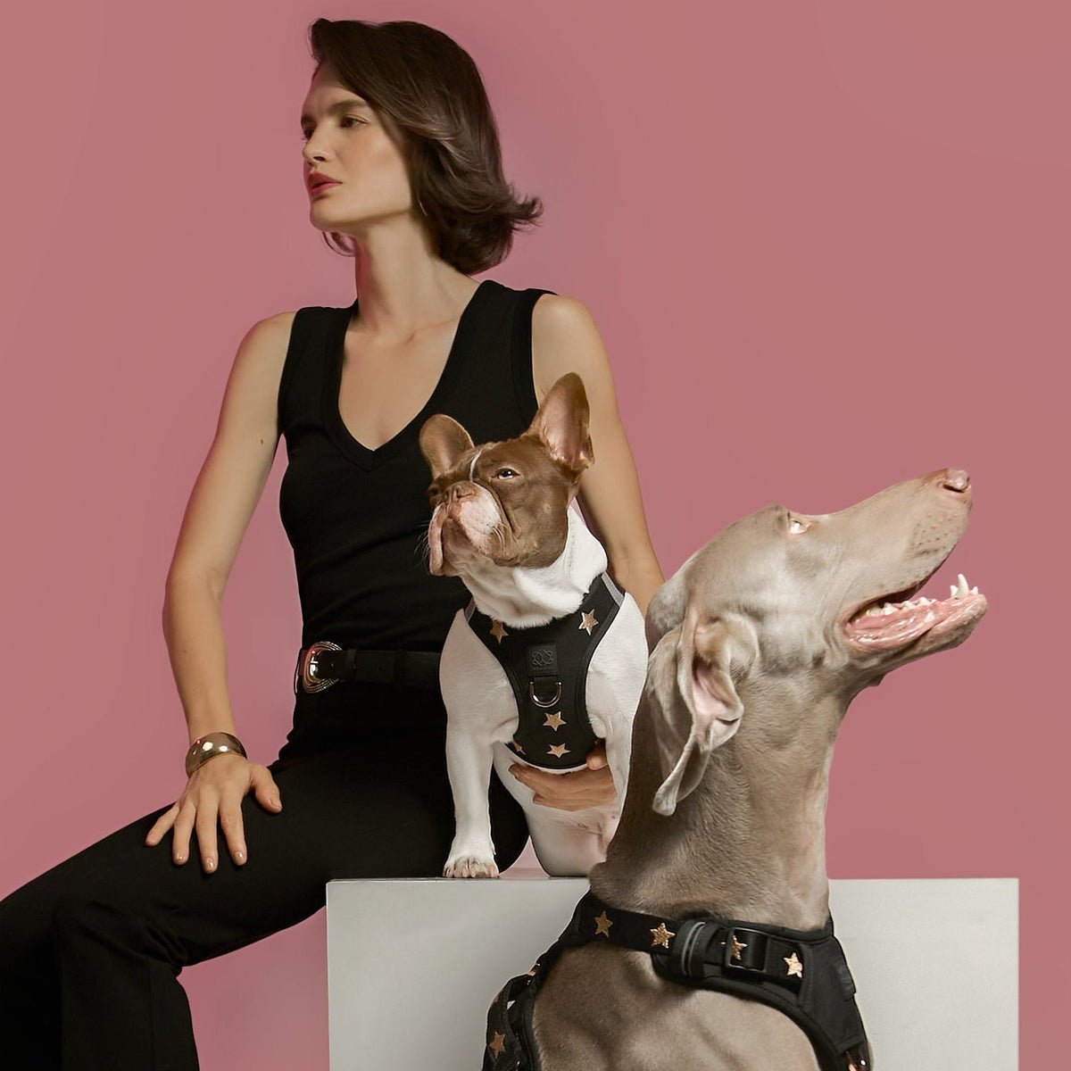 Dog Harness product image 6