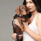 Dog Harness product image 8