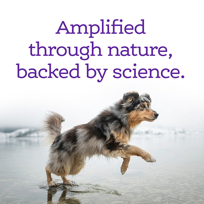 Dog Calming Supplement product image 5
