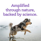 Dog Calming Supplement product image 5