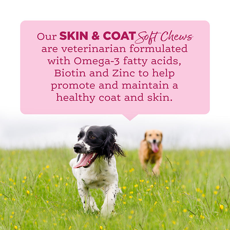 Dog Skin & Coat Supplement product image 3