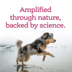 Dog Skin & Coat Supplement product image 4