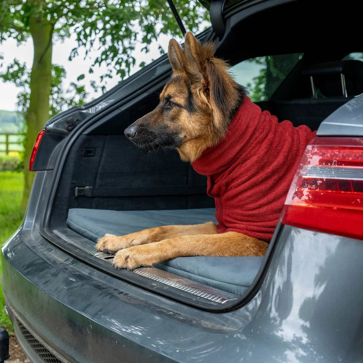 Dog Crate Mat product image 1