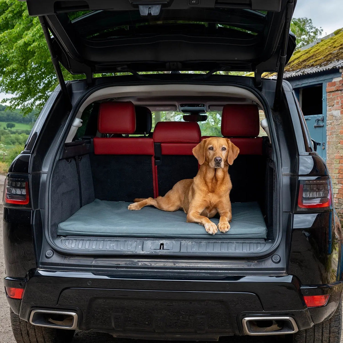 Dog Crate Mat product image 3
