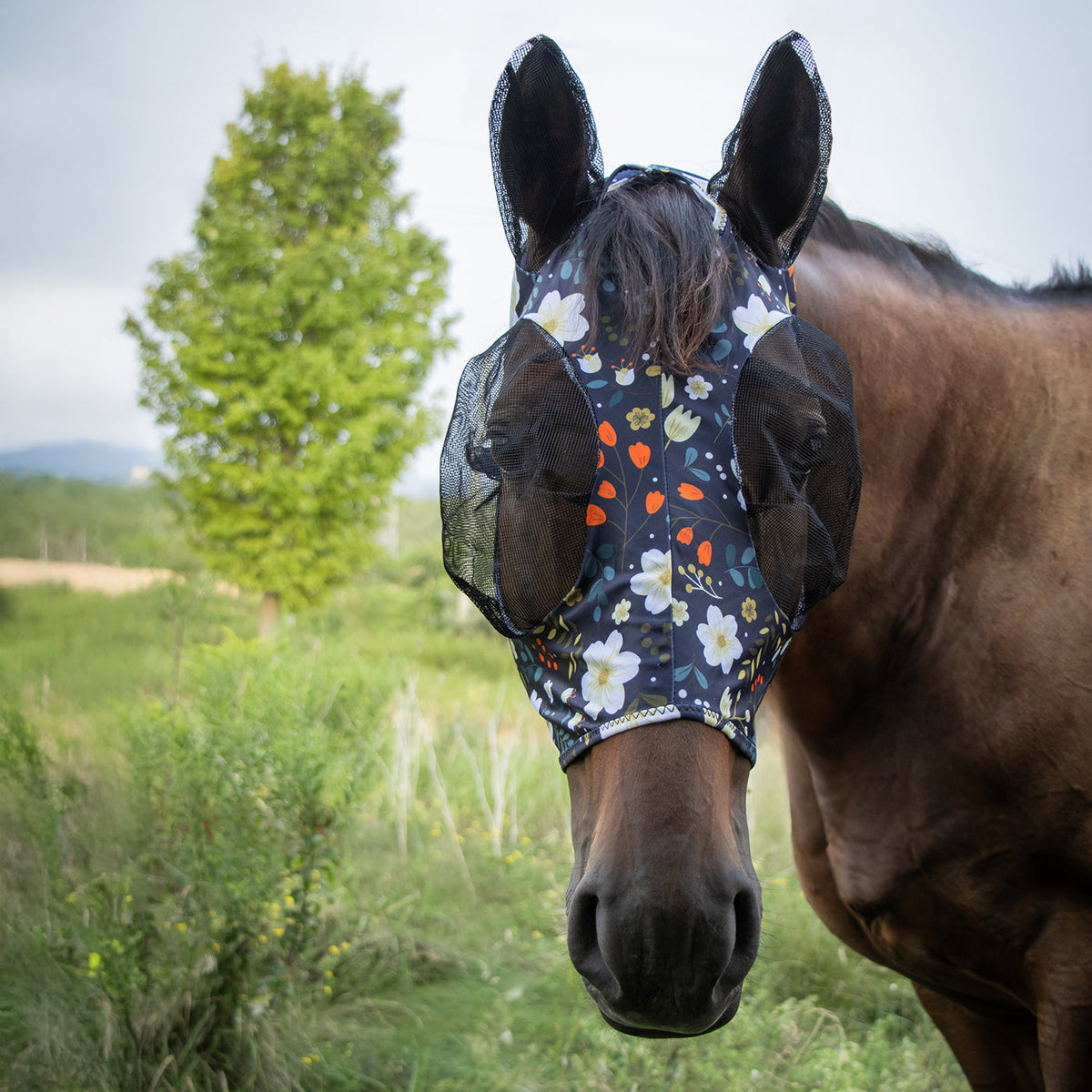 Horse Fly Mask product image 9