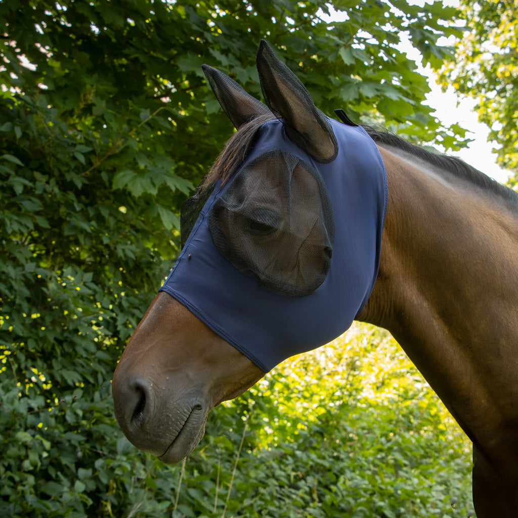 Horse Fly Mask product image 15