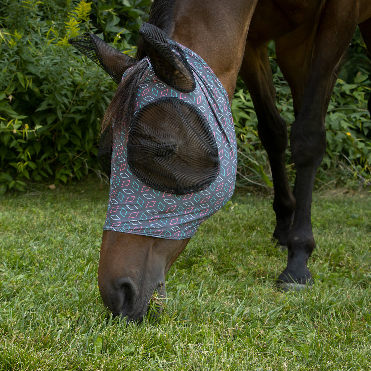 Horse Fly Mask product image 26