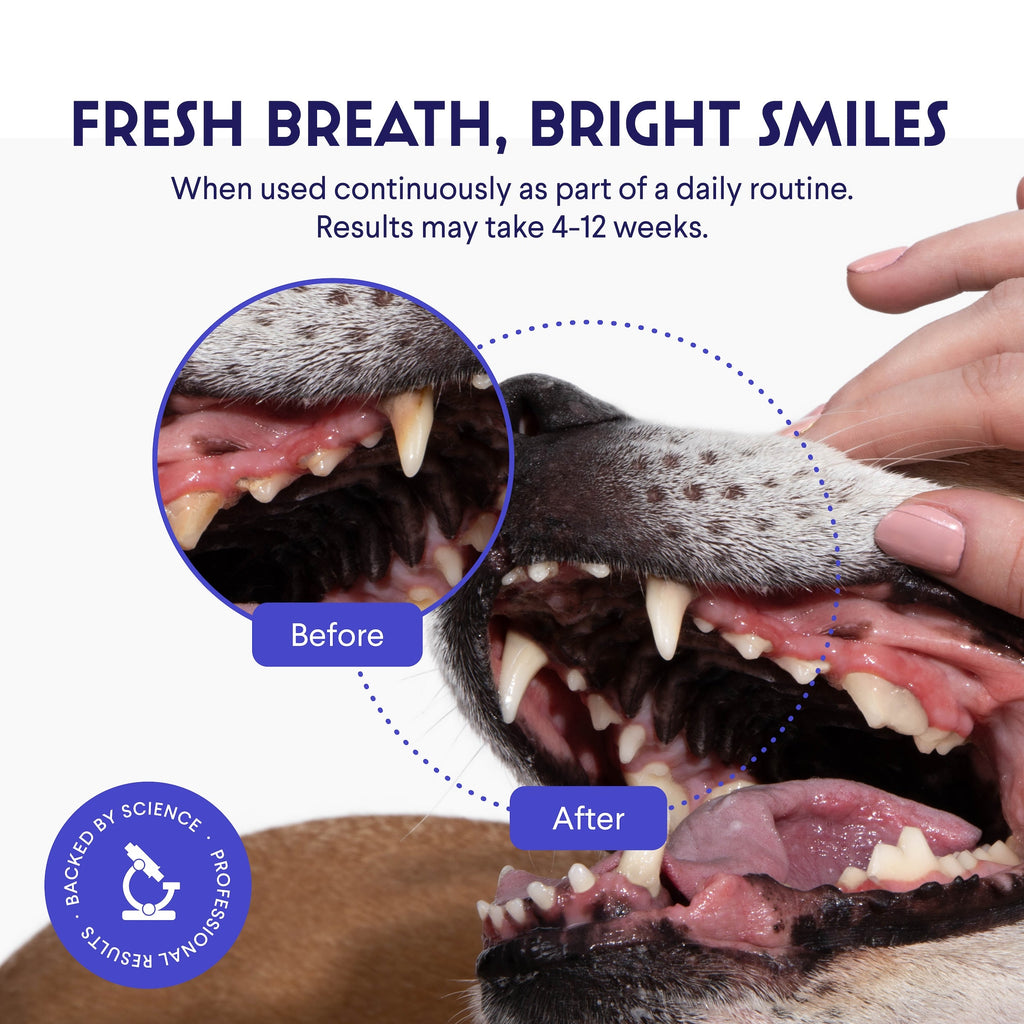 Dog Dental Powder product image 2