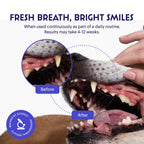 Dog Dental Powder product image 2