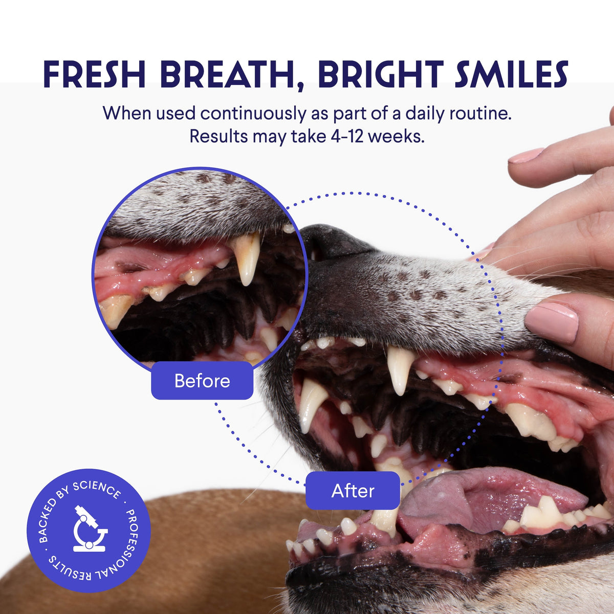 Dog Dental Powder product image 2