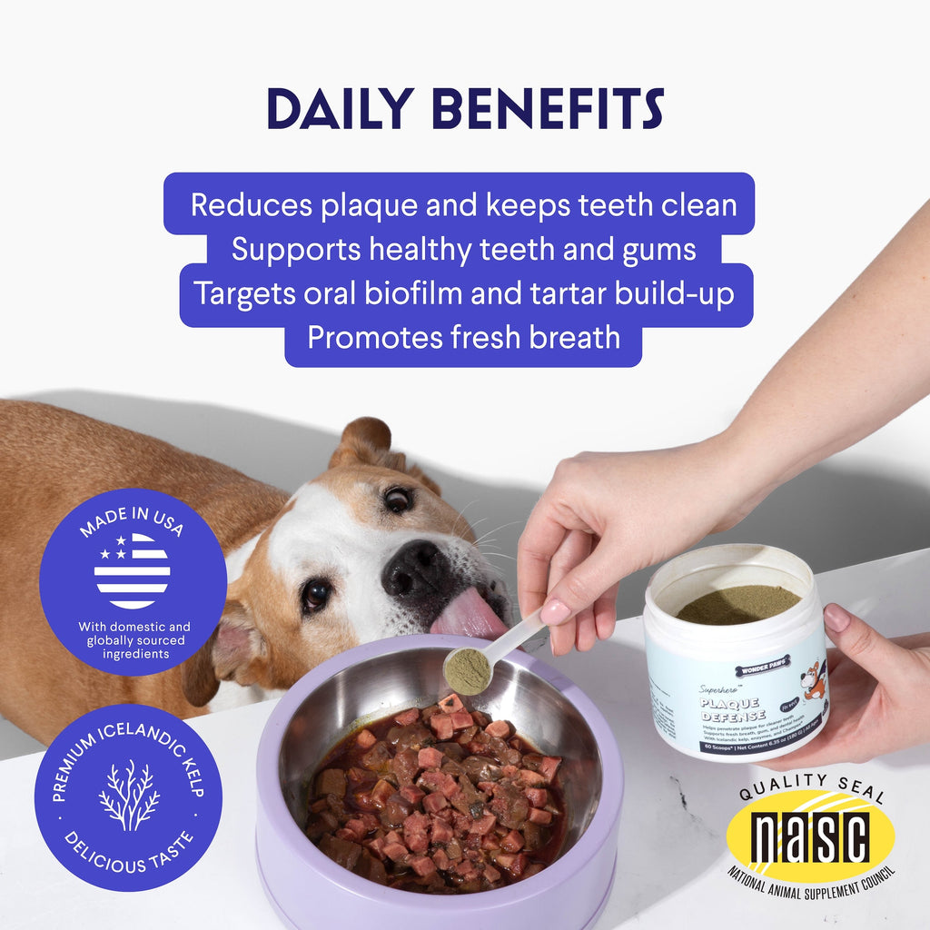 Dog Dental Powder product image 5