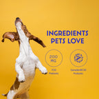 Dog Probiotic Chews product image 5