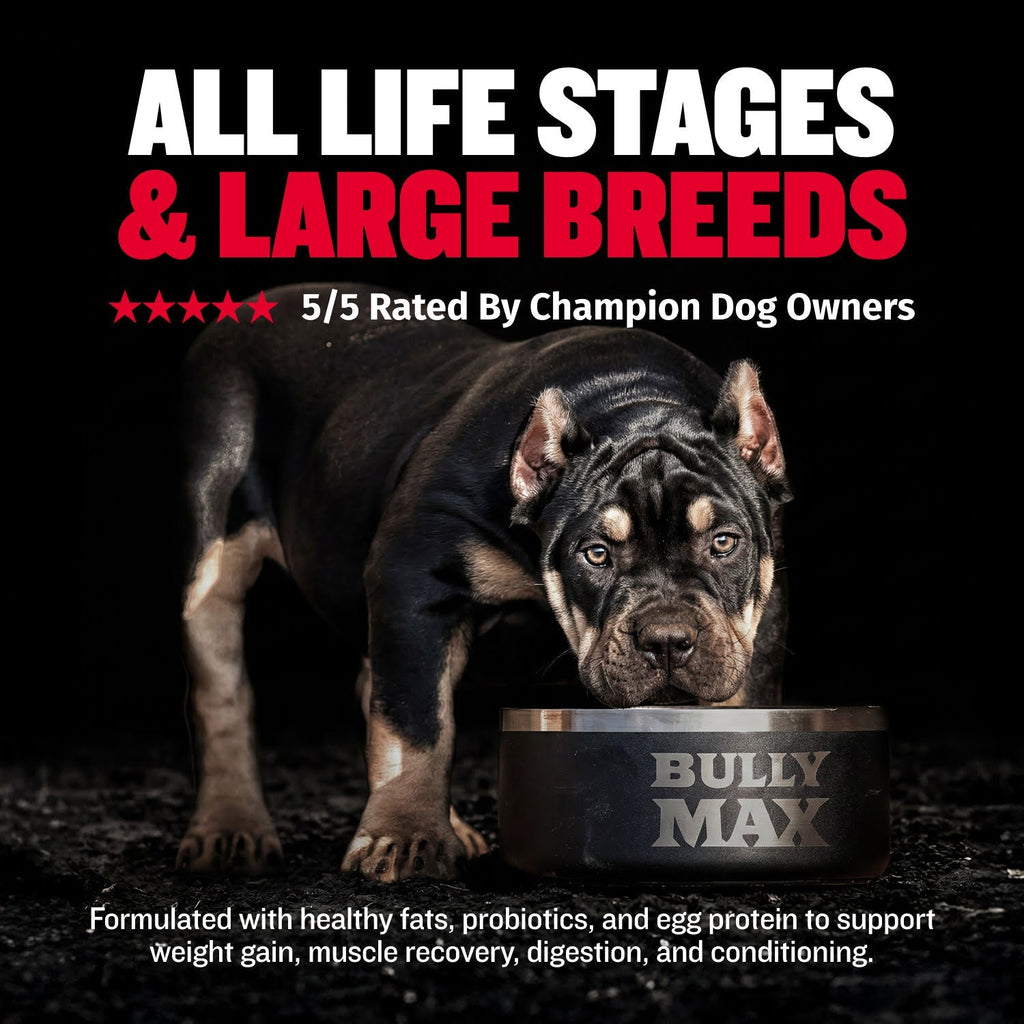 High Calorie Dog Weight Gain Chews product image 4