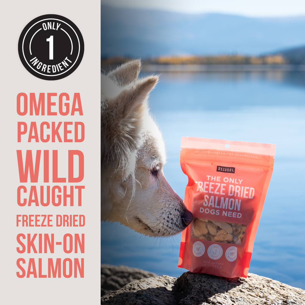 Freeze-Dried Salmon Dog Treats product image 3