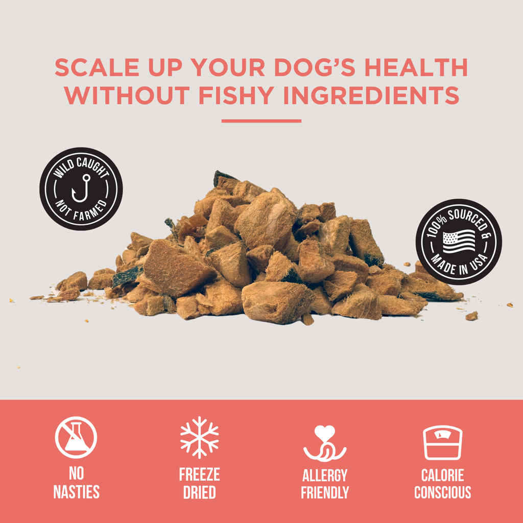 Freeze-Dried Salmon Dog Treats product image 4