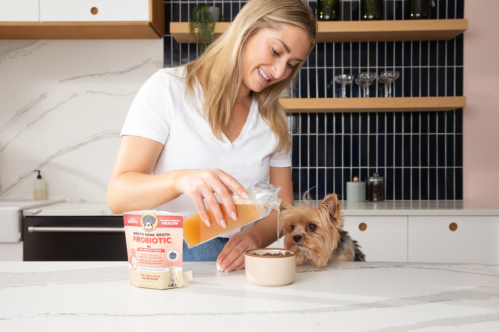 Pork Bone Broth Probiotic Powder for Dogs product image 2