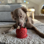 Santa-Shaped Dog Enrichment Toy product image 4
