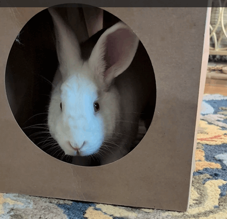 Paper Play Tunnel product image 2