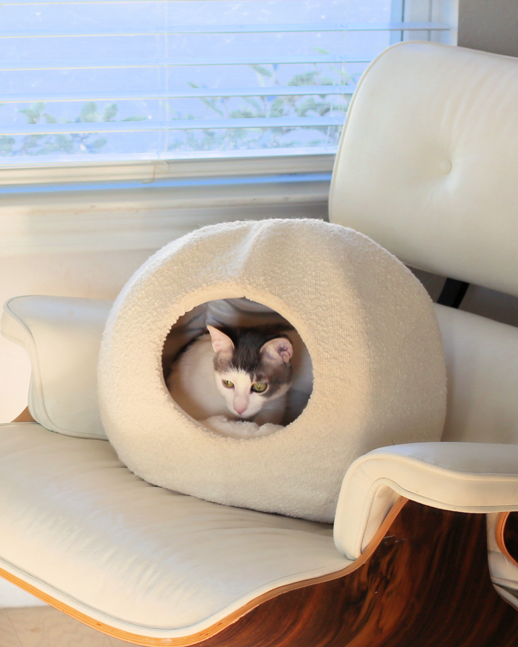Cat Cave product image 2