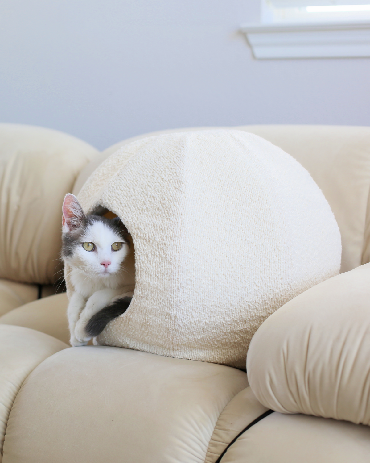 Cat Cave product image 3