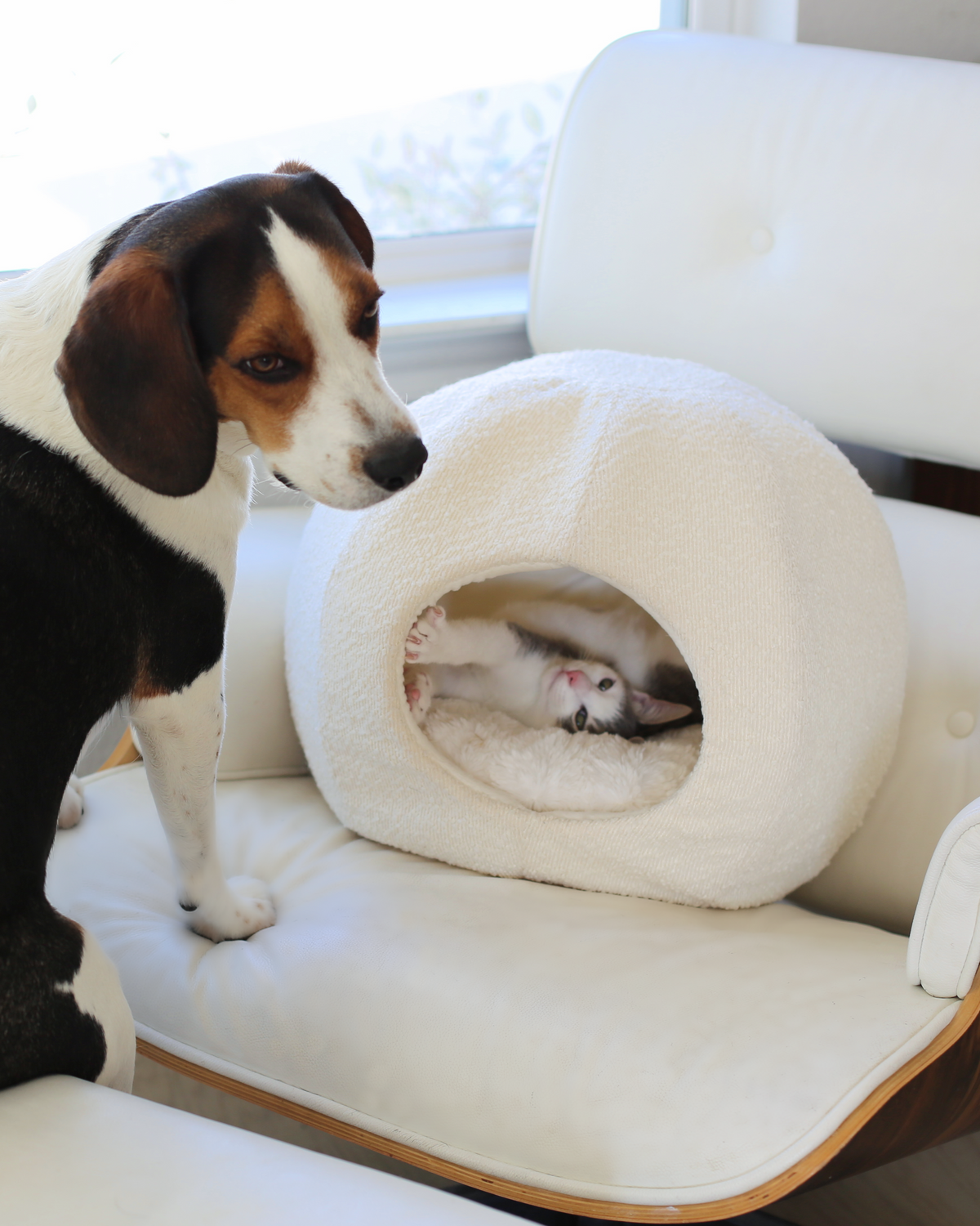Cat Cave product image 4