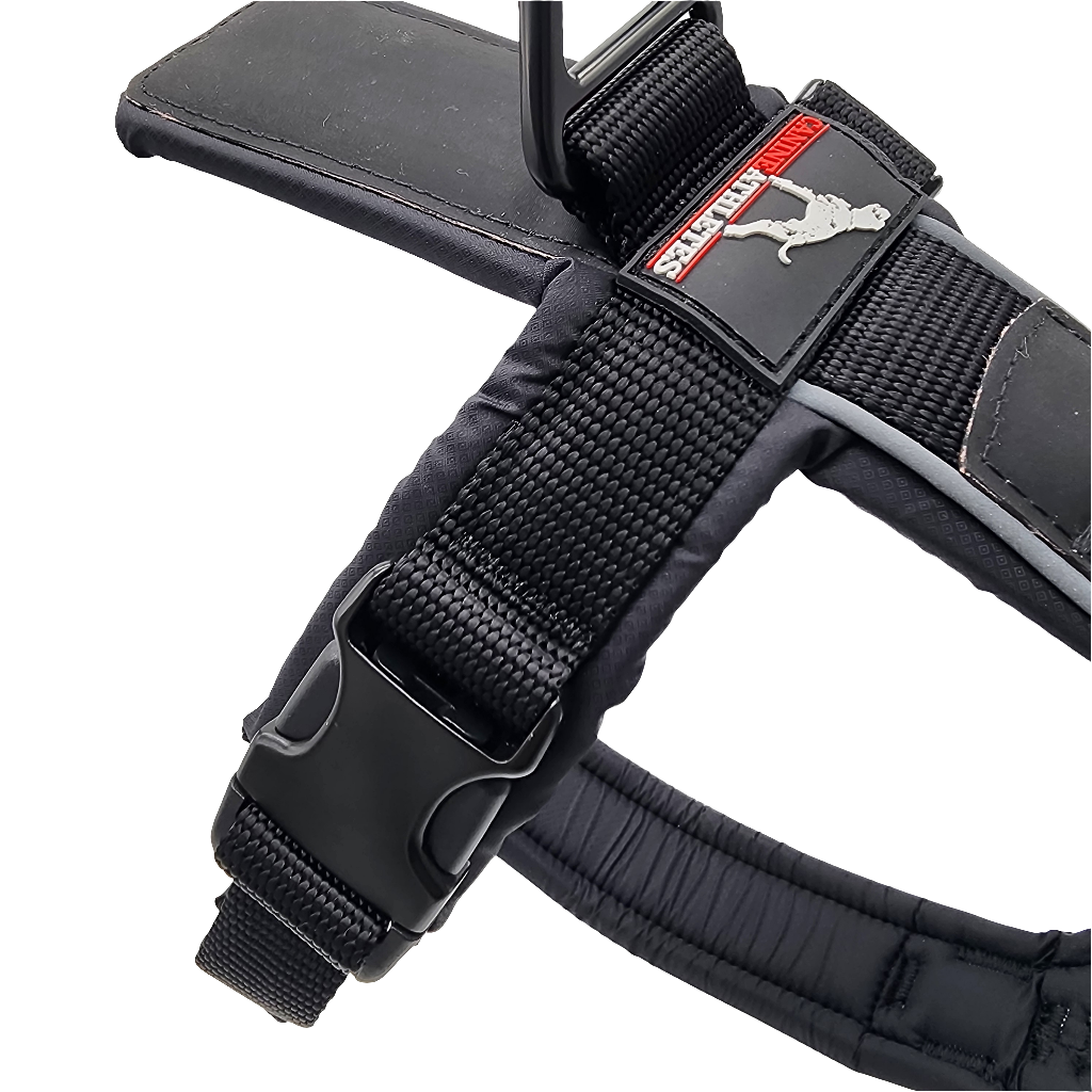 Working Dog Harness product image 2