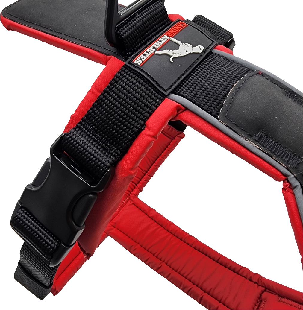Working Dog Harness product image 7