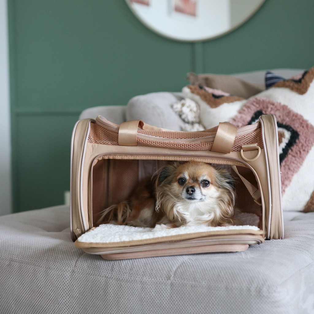Soft-Sided Pet Carrier product image 3