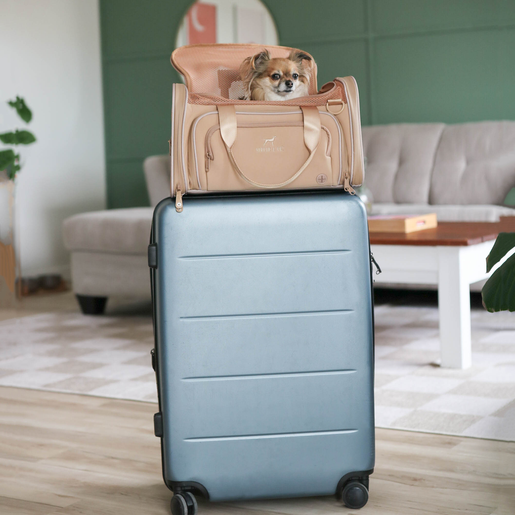 Soft-Sided Pet Carrier product image 4