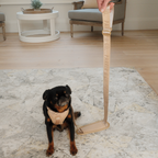 Soft-Sided Pet Carrier product image 13