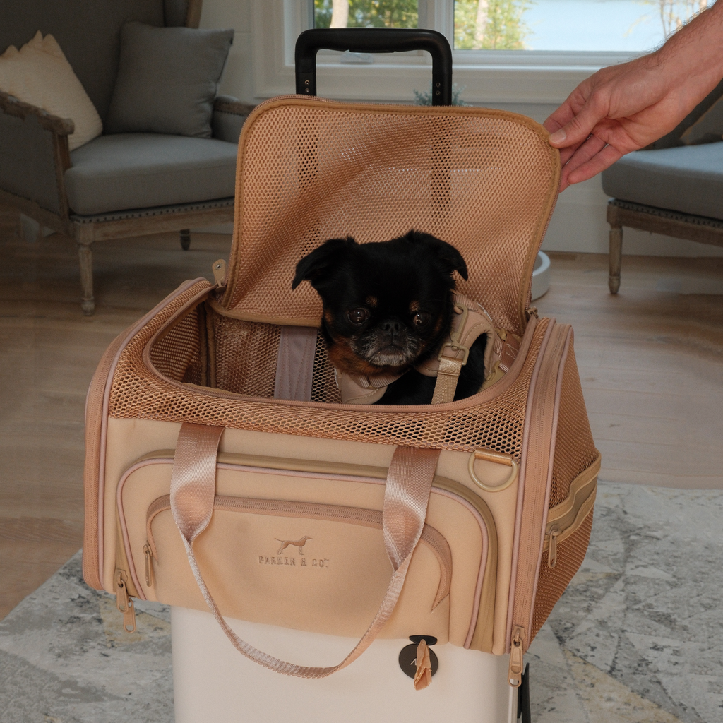 Soft-Sided Pet Carrier product image 14