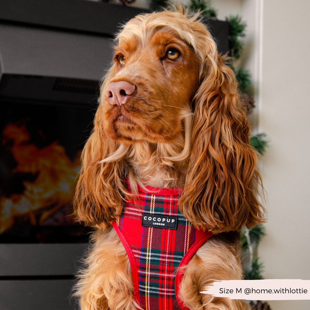 Adjustable Tartan Dog Harness product image 5