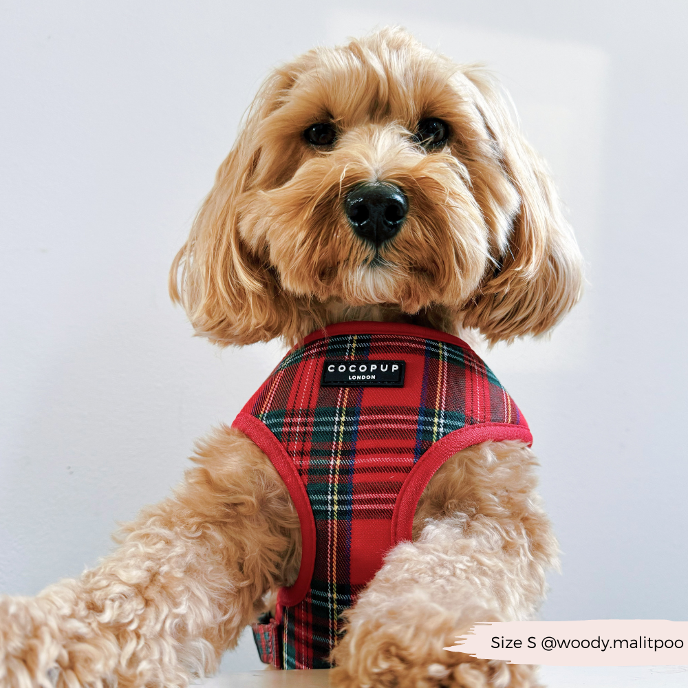 Adjustable Tartan Dog Harness product image 6