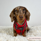 Adjustable Tartan Dog Harness product image 8