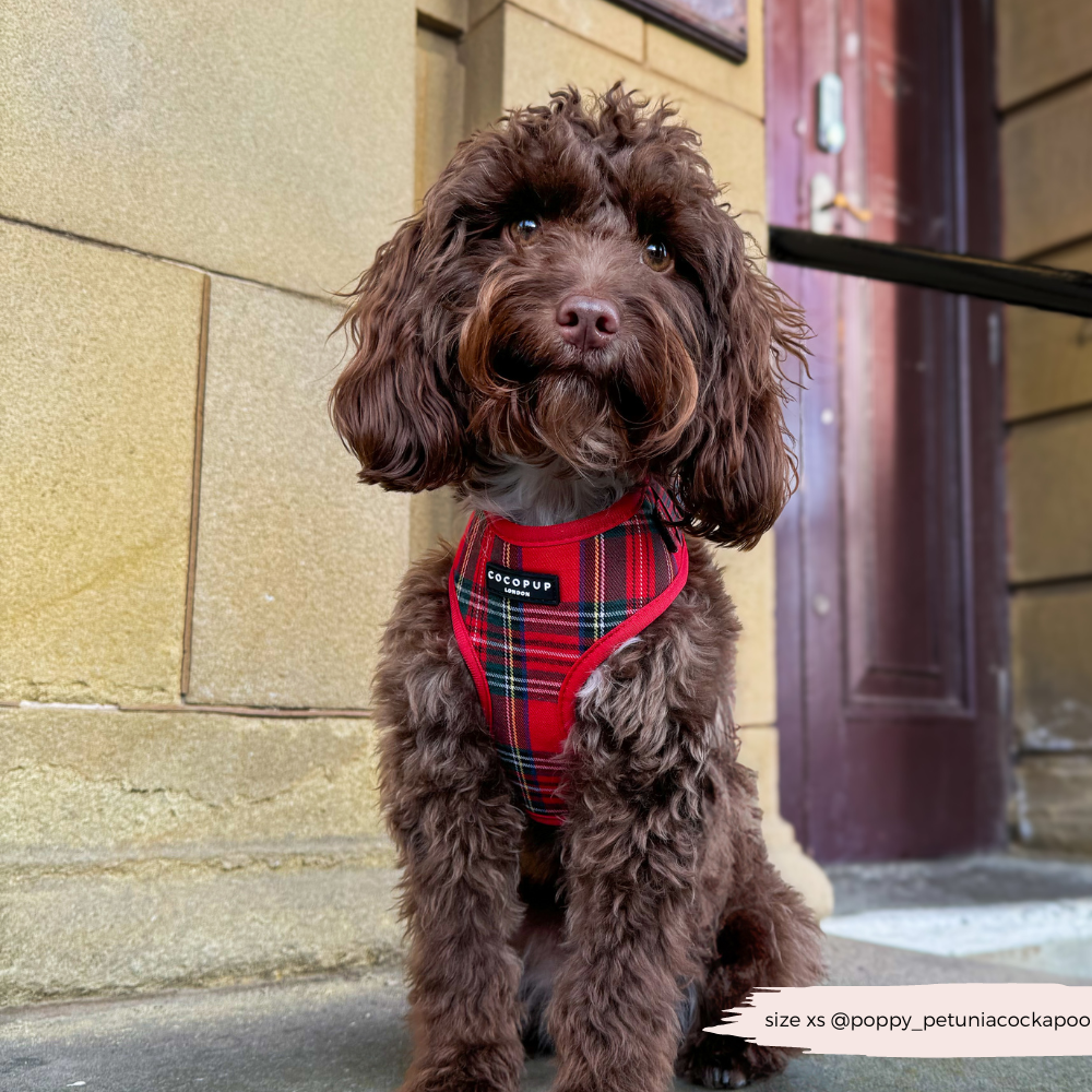 Adjustable Tartan Dog Harness product image 9
