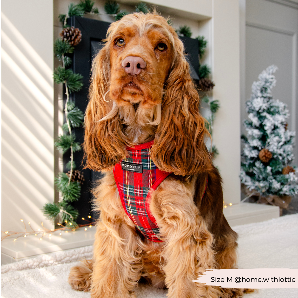 Adjustable Tartan Dog Harness product image 10