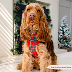 Adjustable Tartan Dog Harness product image 10