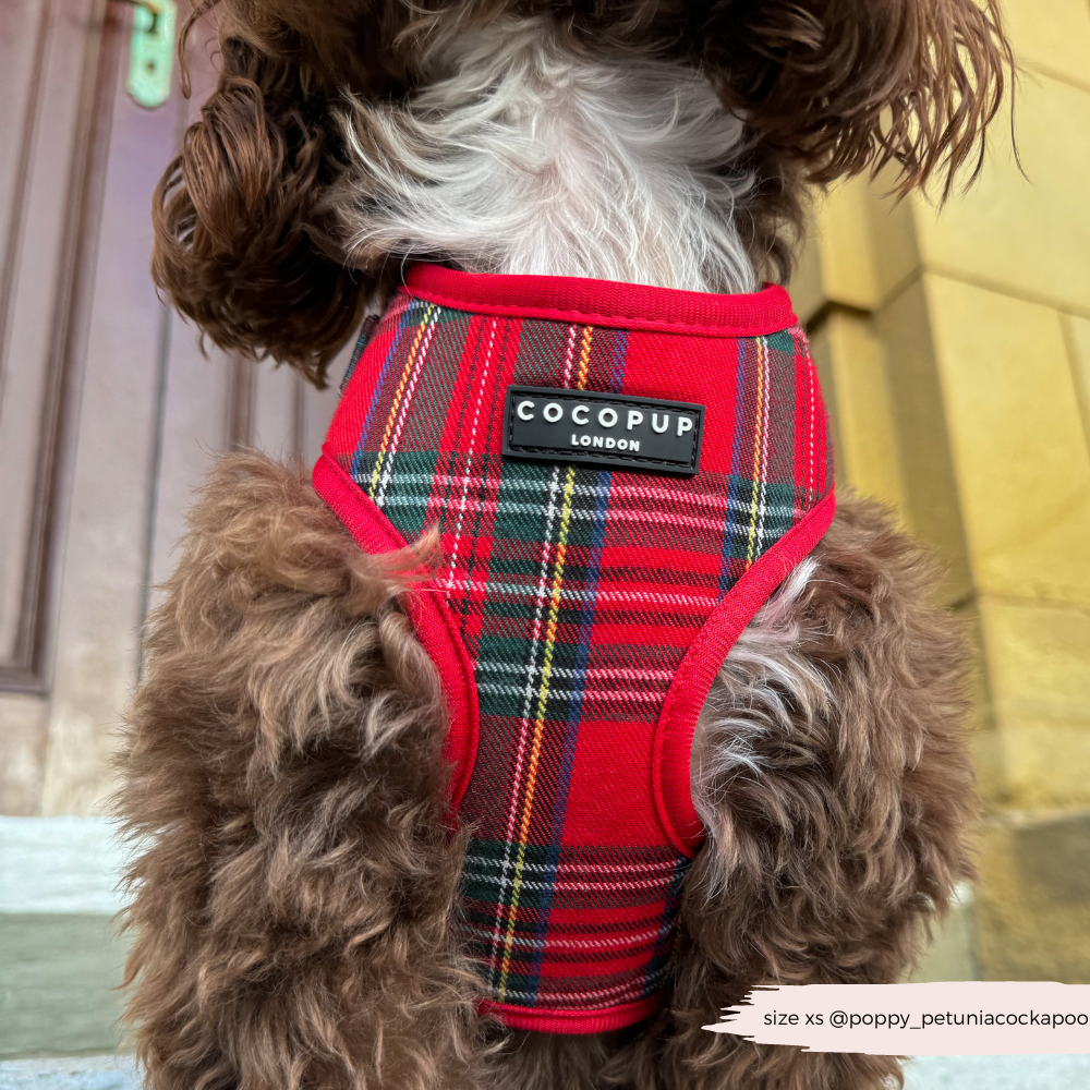 Adjustable Tartan Dog Harness product image 13