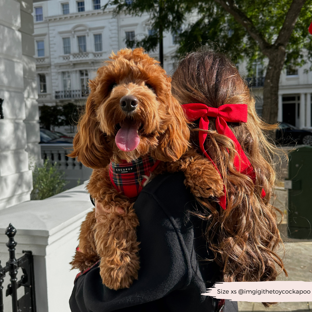Adjustable Tartan Dog Harness product image 14